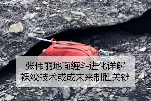 张伟丽地面缠斗进化详解 裸绞技术或成未来制胜关键